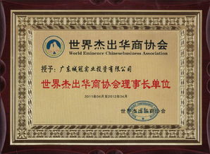 廣東城冠實(shí)業(yè)投資集團(tuán)圖冊(cè)——精準(zhǔn)投資咨詢，引領(lǐng)價(jià)值創(chuàng)造